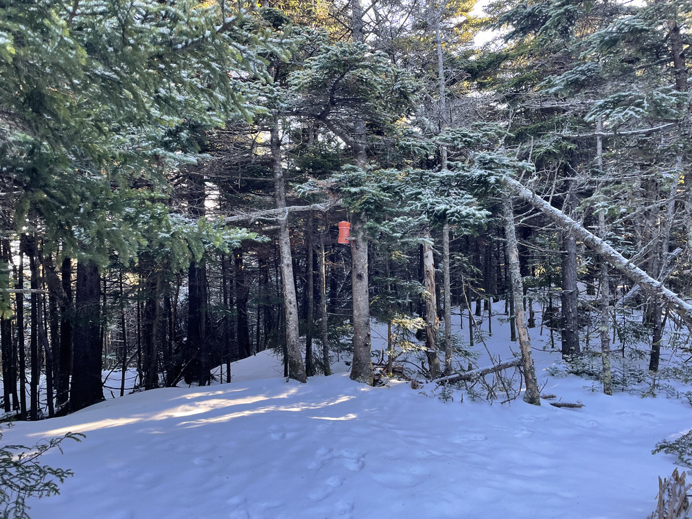 Canister at Kaaterskill High Peak