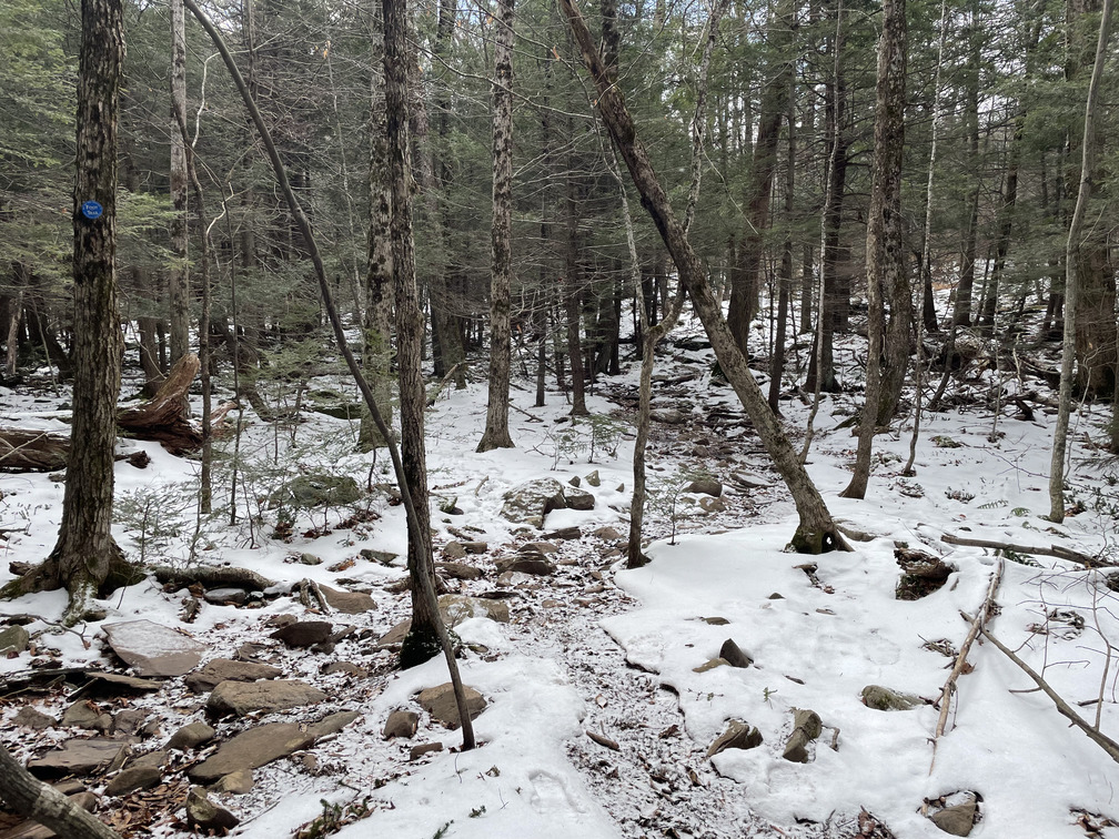 Dusting of snow on Prediger Rd Trail