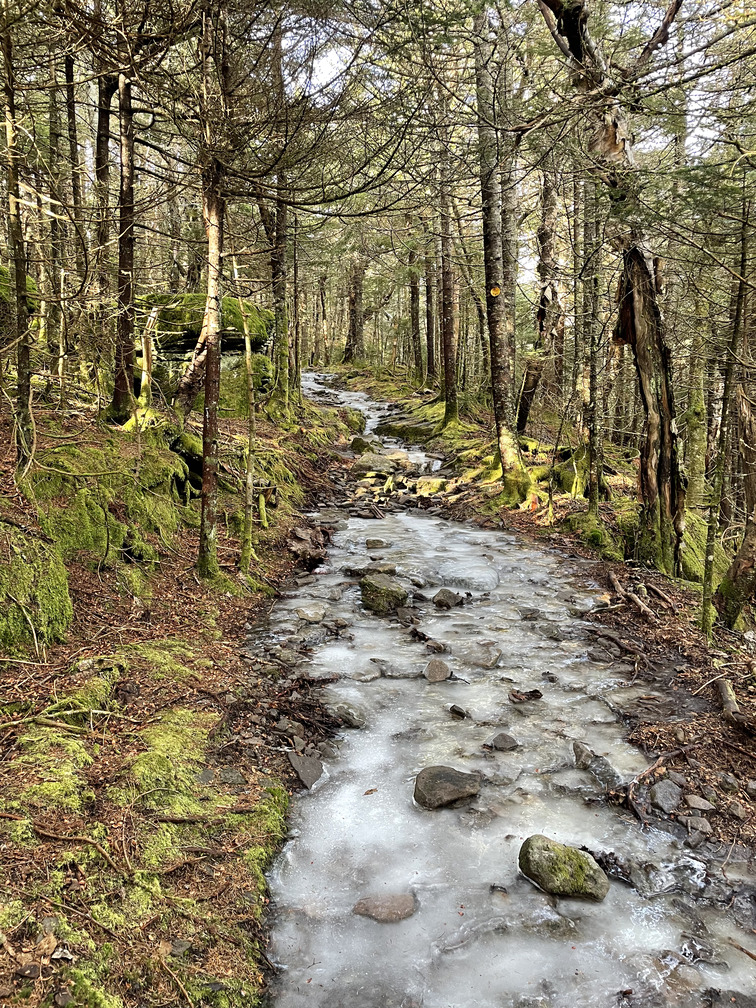 Icy path to Hunter