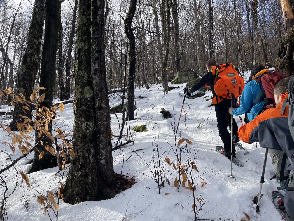 Sunny Snowshoeing