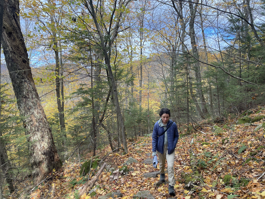 Looking back at fall colors