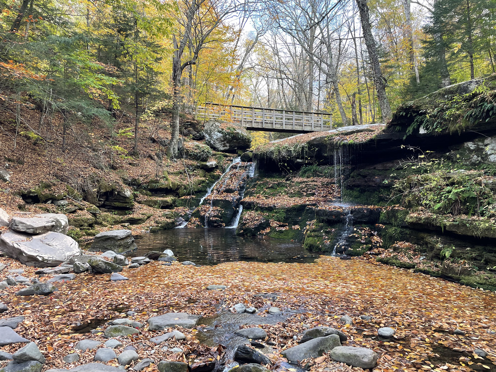 Fall colors with bridge