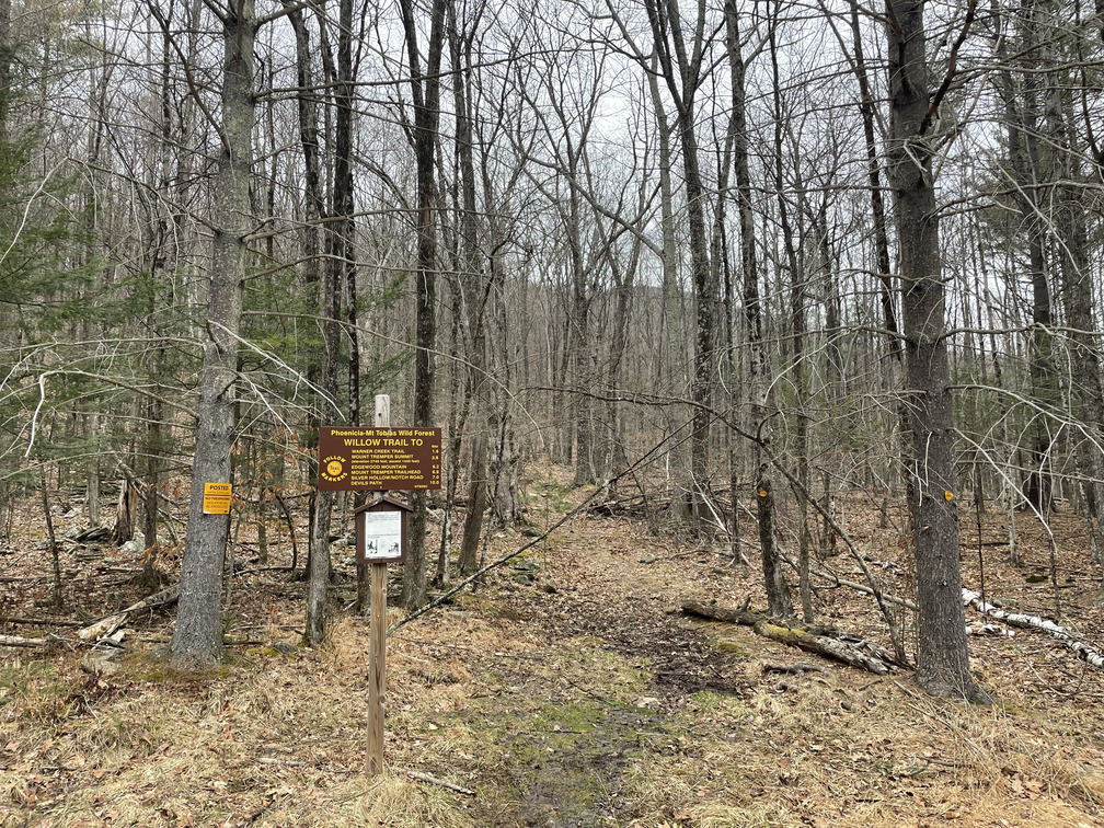 Start of trail