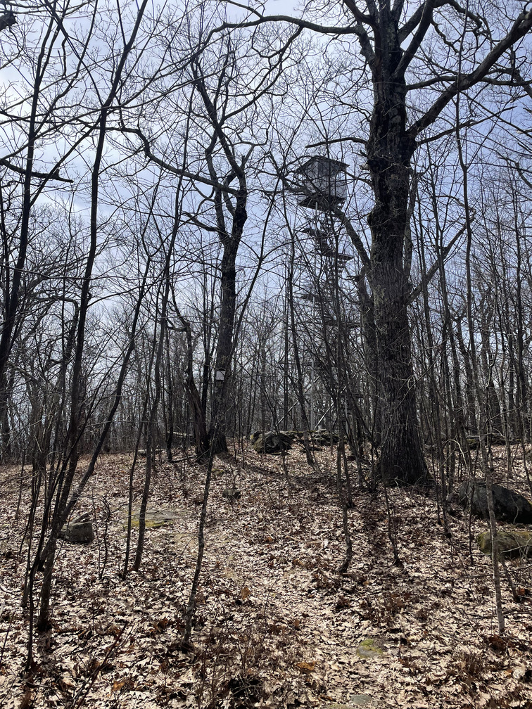 Tremper Fire Tower