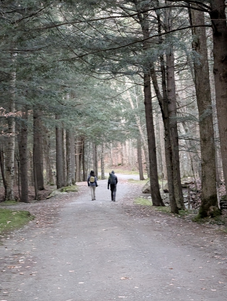 Speed hiking along Lake Road